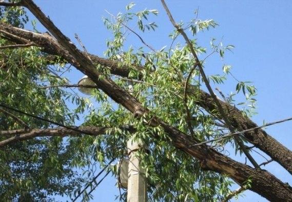 В связи с непогодой произошли повреждения на линиях связи!